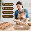 DecarDamai 100-Pack Bulk Empty Egg Cartons for Storage, 12-Count Natural