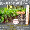 ビーツパウダー スティックタイプ 顆粒 3g×31本入り 約1ヶ月分 どこでも持ち運び便利にしました 熊本県 あさぎり町産100% 化学農薬不使用 化学肥料不使用