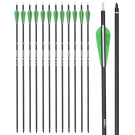 YLS Archery 24Inch Carbon Arrow Practice Hunting Arrows with100 Grain Removable Tips for Compound & Recurve Bow(Pack of 12)