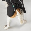 Back on Track Bark Allround Dog Coat 45 cm Black