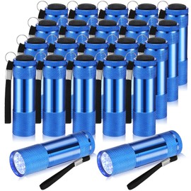 VIHOSE 20 Pcs Mini Flashlights Bulk, Bright Aluminum Handheld Flash Light with Lanyard Small LED Flashlights for Night Reading Emergency Hurricane Camping Hiking, Batteries Not Included(Blue)