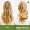 Biolage Strength Recovery Shampoo Reparador de Cabello Dañado 400 ml