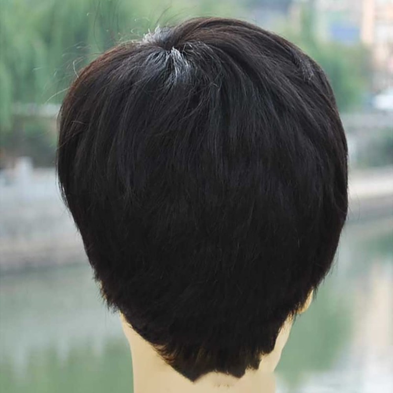 Feibin Popular Men's Wig, 100% Human Hair, For Middle and