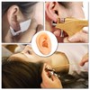Human Ear Model Simulation Artificial Human Left Ear Silicone Ear