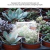 48 LEDs Plant Lamp with 4H 8H 12H Timing 6