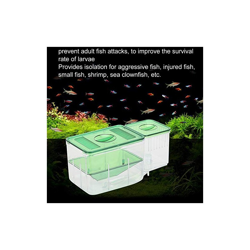 Fish Breeding Box, Acrylic Fish Hatchery Isolation Box Double Layer