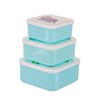 Sass & Belle Set of 3 Roarsome Dinosaurs Lunch Boxes