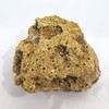 Reef Rock, 21 x 17 x 13 cm, Rock Stone