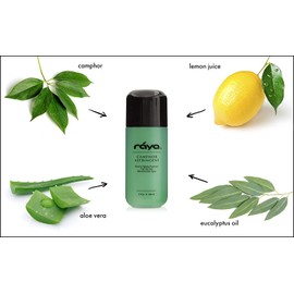 RAYA Camphor Astringent 6 oz (204) | Effective Facial Toner for Oily and Break-Out Skin | Helps Dry Up Blemishes and Control Excessive Oiliness | Made With Camphor and Eucalyptus