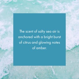 Monthly Fragrance Cartridge for ScentAir Whisper Home (Ocean)