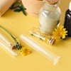 Garneck 4 Pcs Test Tube Hydroponics Vases Test Tube Vase