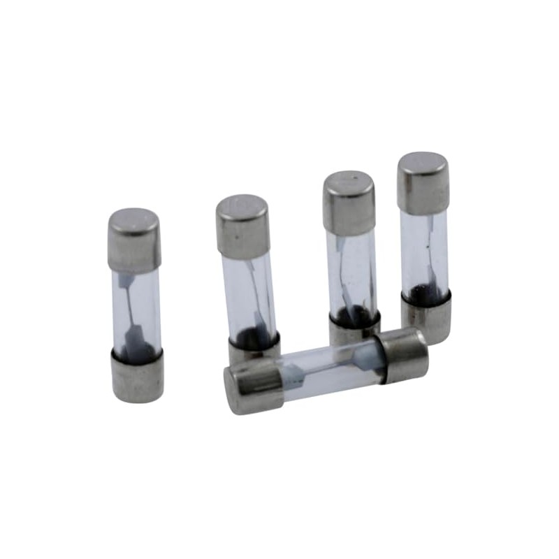 Glass Fuse 25 mm (10 Amp), 5 Pack