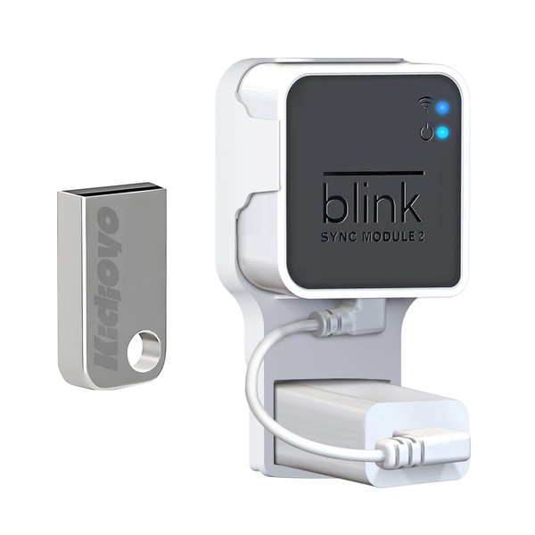 256GB USB Flash Drive & Outlet Wall Mount for Blink