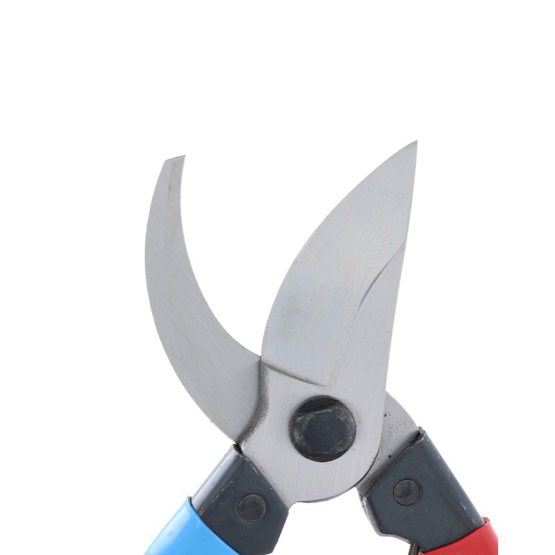Takagi Kikudo Pruning Shears, Left Hand, 7.9 inches (200 mm)