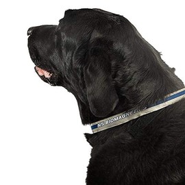 Promagnet Magnetic Therapy Pet Collar (Small (12"- 15") 4 Magnets