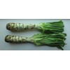 NIKA SEEDS - Vegetable Asparagus Lettuce Leaf Heirloom for Salads