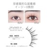 Natural False Eyelashes, Natural Eyelashes, Premium Fiber, Soft and Long