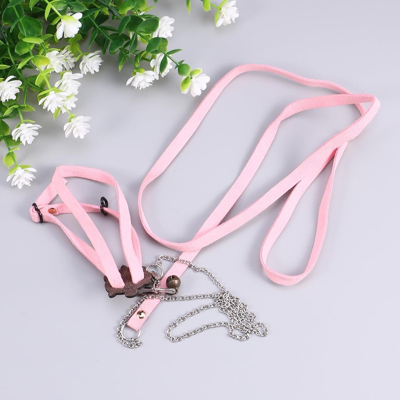 iplusmile Turtle Harness and Lead - Pettortoise Lead Turtle Harness