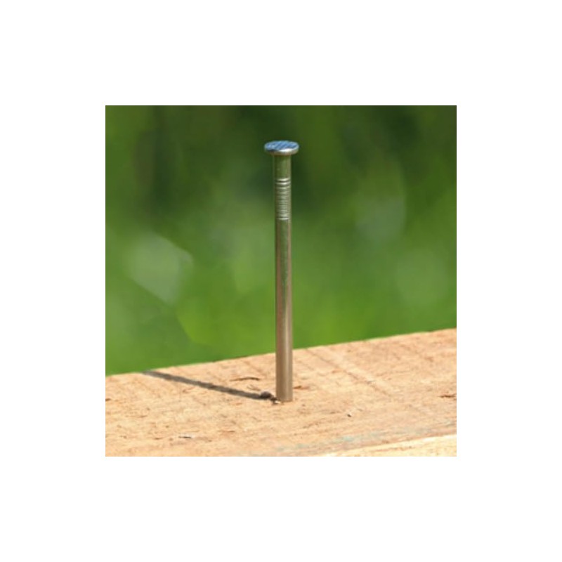 Galvanised Round Wire Nails -100mm Length (Pack of 19)