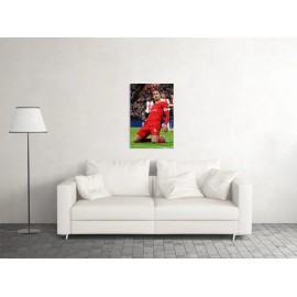 Unbranded Virgil Van Dijk Liverpool Football Team Player Sports Fans Wall - POSTER 20"x30"