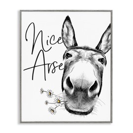 Stupell Industries Donkey Portrait Nice Arse Animal Pun Daisey Florals, Designed by Lettered and Lined Gray Framed Wall Art, 11 x 14, Black