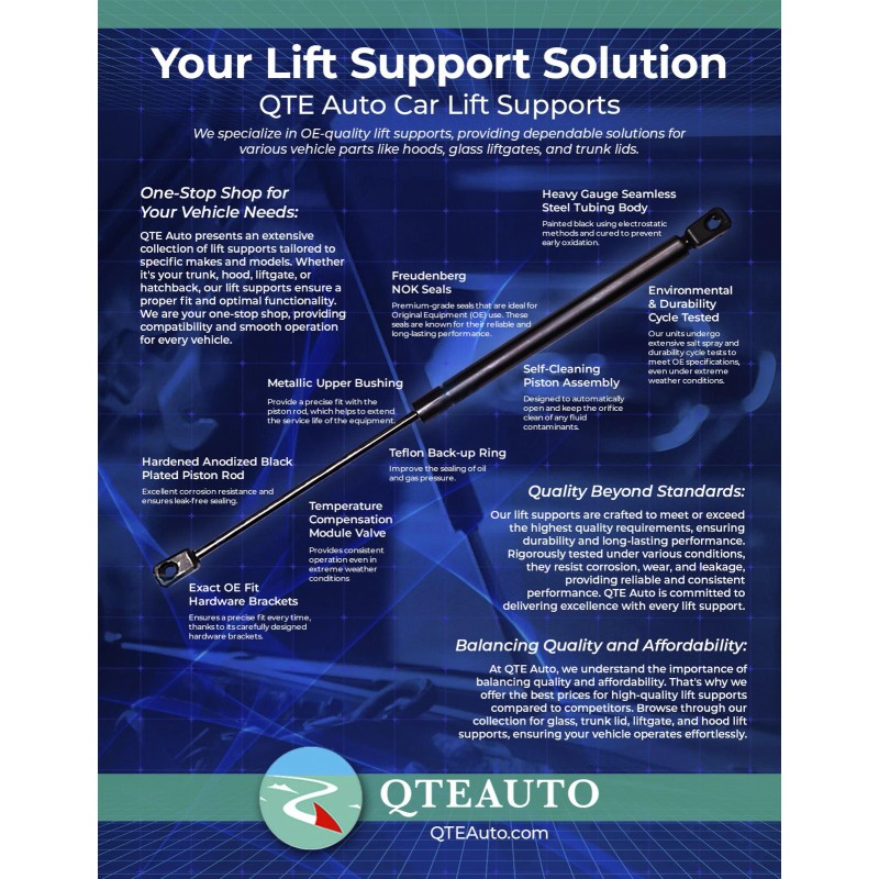 PM Auto 2PC Rear Hatch Lift Supports Liftgate Shocks For