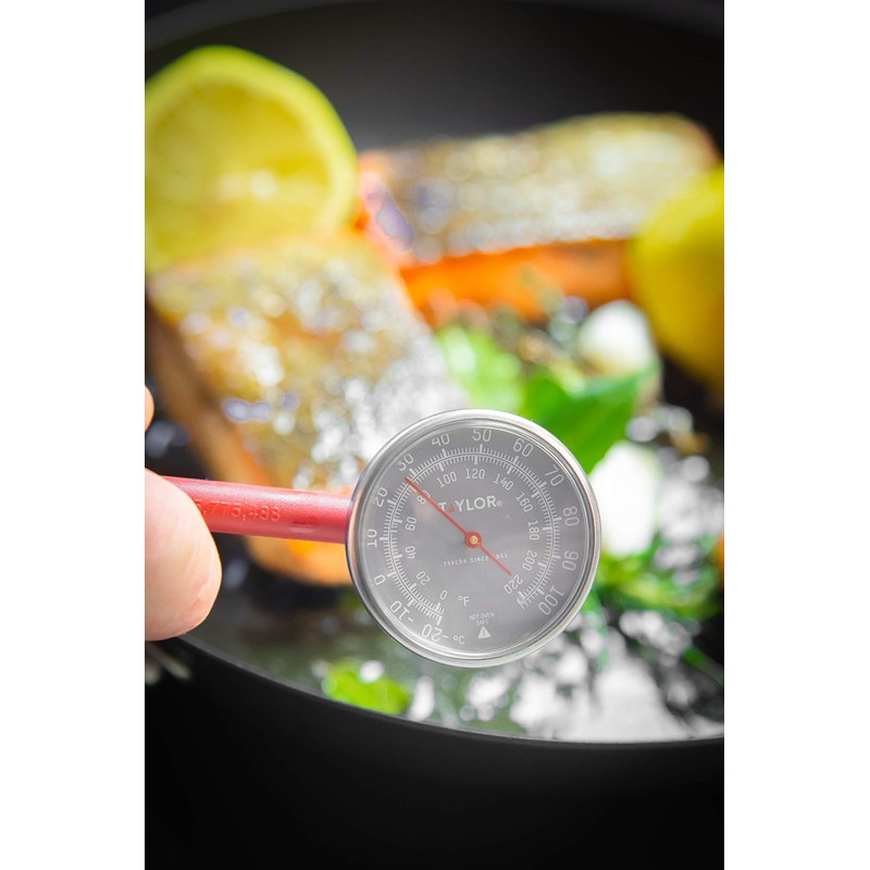 Taylor Read Meat Thermometer Probe, Food Thermometer with Fast Temperature