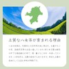 2025 New Tea YaME-CHA Sencha 3.5 oz (100 g) SS-15