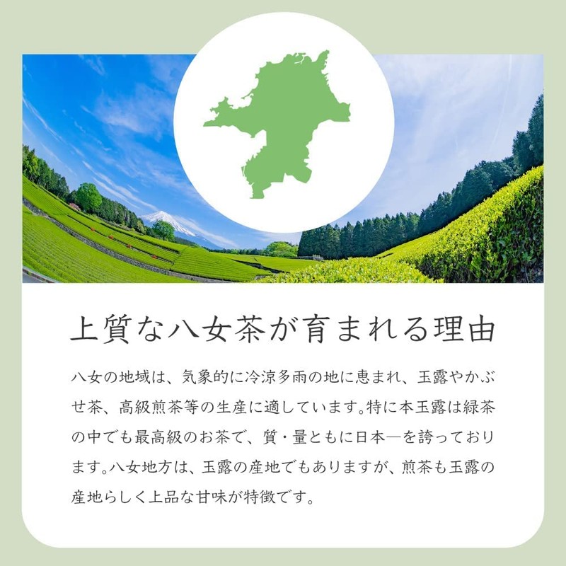 2025 New Tea YaME-CHA Sencha 3.5 oz (100 g) SS-15
