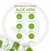 Pure Aloe Vera Gel With Turmeric and Vitamin E |