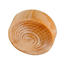 50 Pieces Ramas Natural Hechas de Abeto 30 x 9 mm - Clavijas de Rama con Chaflán - Hecho en Austria