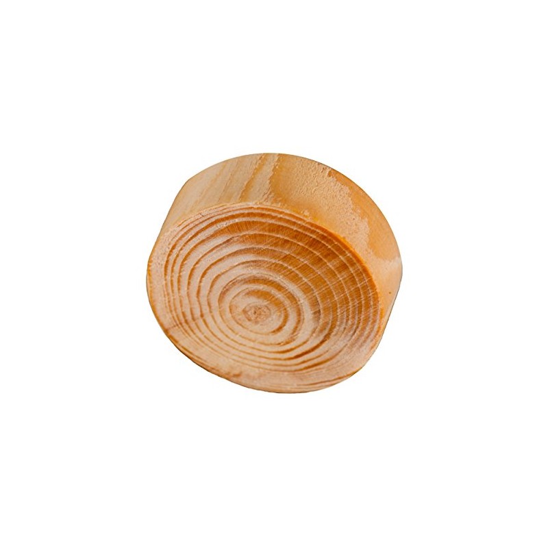 50 Pieces Ramas Natural Hechas de Abeto 30 x 9