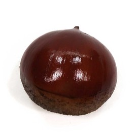 Food Sample Magnet, Likely to Eat, Chestnut, 132.8 ft (335 m)