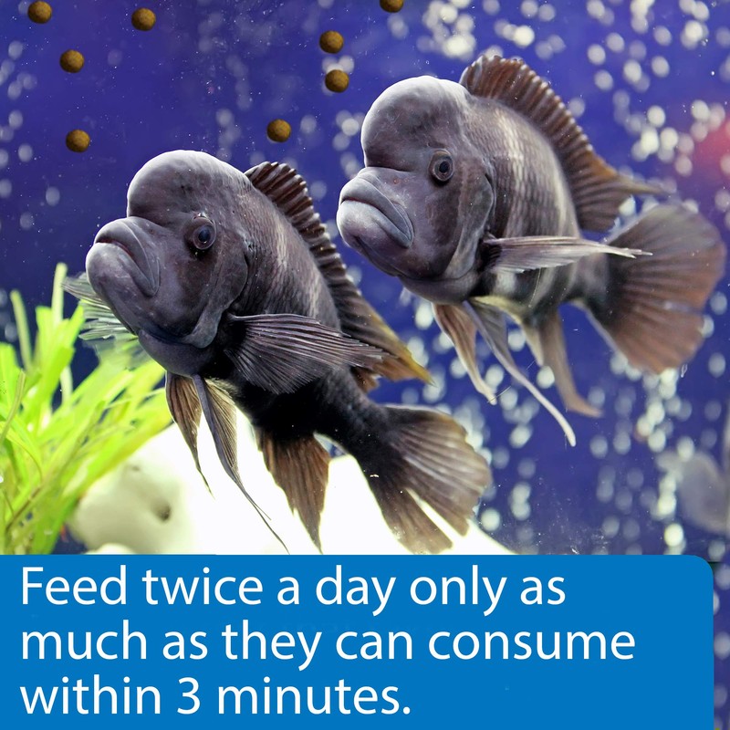 API Tropical PELLETS Sinking Pellets Fish Food