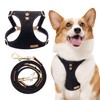 Dog Harness, No Pull Dogs Harness and Multi-Function Leash Set
