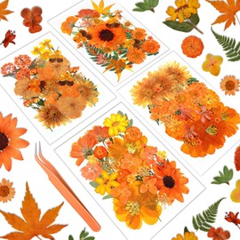 Fall Dried Flowers Dry Leaves Bulk 120 Pcs Dried Pressed Flowers for Art Crafts Scrapbook DIY Candles Soap Making Epoxy Resin Jewelry Molds Nail Décor - Real Herbs and Flowers Vacuum Packed