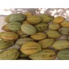 7 Kilos De Cacao Seco Grano Agroecologico Comalcalco Tabasco