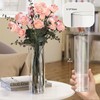 SUREHOME Glass Cylinder Bud Vases for Centerpieces Set of 16