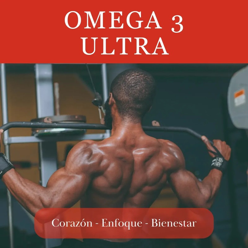 Bcaas Glutamina 405g Birdman Omega 3 1300mg Black Pegasus