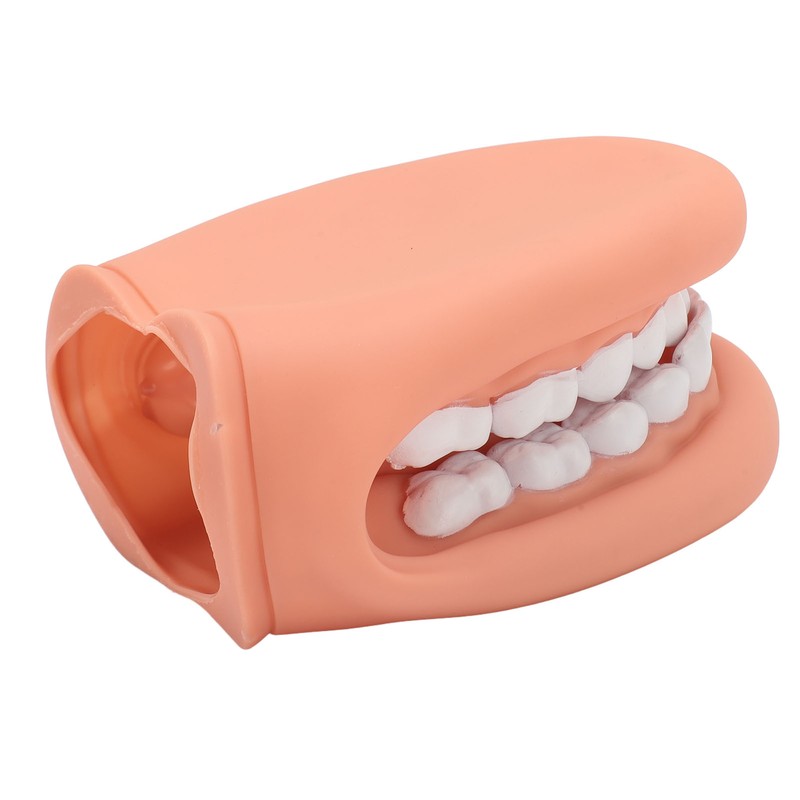 Mouth Puppet with Tongue 28 Teeth Silicone Speech Therapy Demonstration