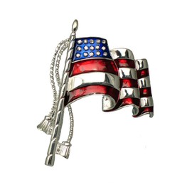 American Flag Parade Pin/Brooch Y