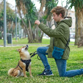 Dog Treat Pouch, Dog Walking Bag Treat Pouch for Dog Training with Multiple Pockets and Built-In Poop Waste Bags Dispenser, Adjustable Belt 3 Ways to Wear, Light Green