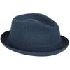 Bailey Billy Straw Hat Blue - m