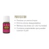 Young Living Purificacion + Thieves Aceites Esenciales Young Living 5