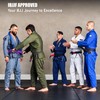 Elite Sports Brazilian Jiu Jitsu BJJ Cinturones, Púrpura, A3