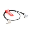 DRRI 3.5mm Jack to EXT 9 Pin Tentacle Timecode Cable
