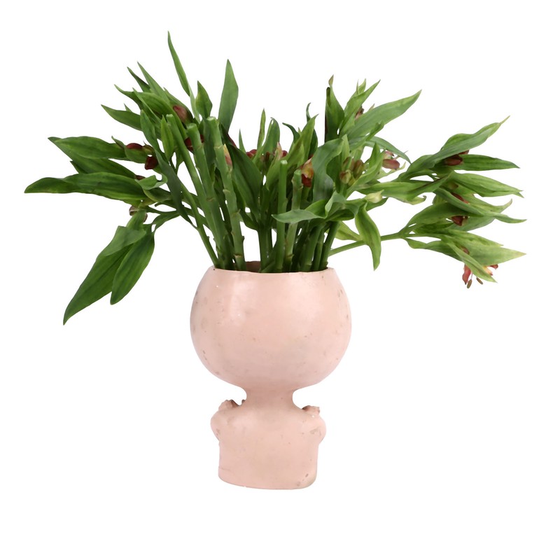 Face Head Planter Succulent Plant Flower Pot Resin Container Face