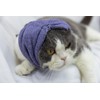 DDFS Cat Hematoma Ear Wrap,Noise Cancelling Headphones Anxiety & Stress