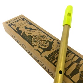The Dannan Causeway Brass Tin Whistle in the Key of D - Lime Green Model