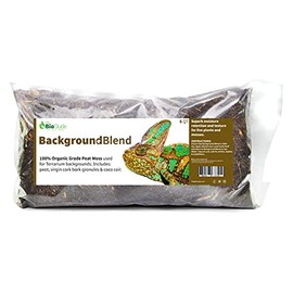 The Bio Dude Background Blend 6 quarts for bioactive Terrarium Backgrounds and vivariums
